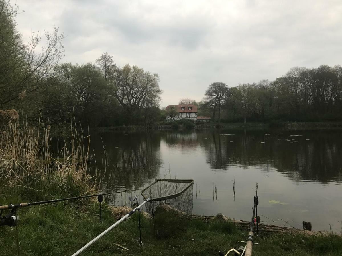 Ferienwohnung Hoppelnase Mit Eigener Sauna Langenstein Exteriör bild